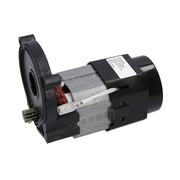 EasyAquatak 120 Elektrik Motoru / F016F05431